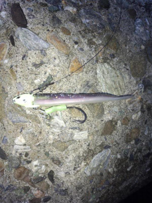 泉南パラダイス ルアー 太刀魚