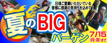 141a24870a56d5ee4e6b30e993cf33bc_2