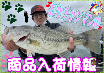 Okamoto