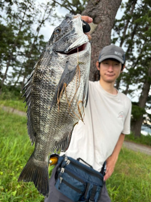アングラーズ日本海ブログ : 天橋立チヌトップ！
