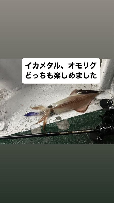 アングラーズ日本海ブログ : イカメタル行ってきました
