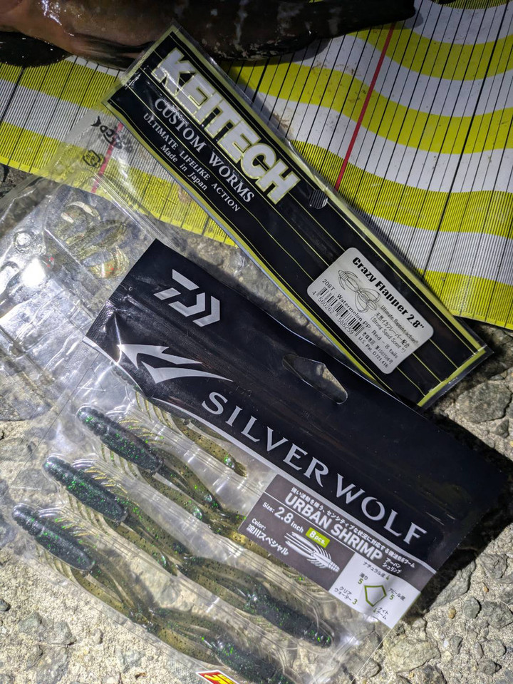 二見周辺エリア情報 : スタッフ釣果情報ほか～(^^♪