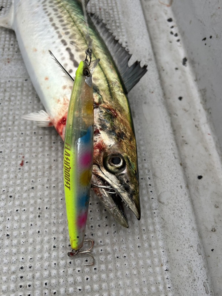 587461772903448917_medium