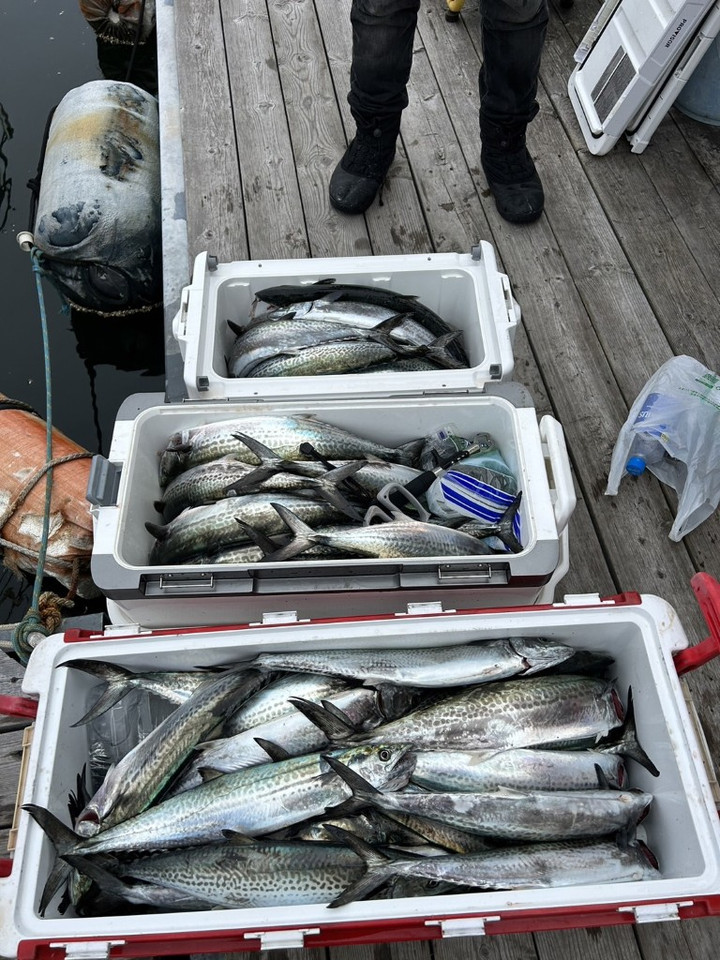 587487060395556951_medium