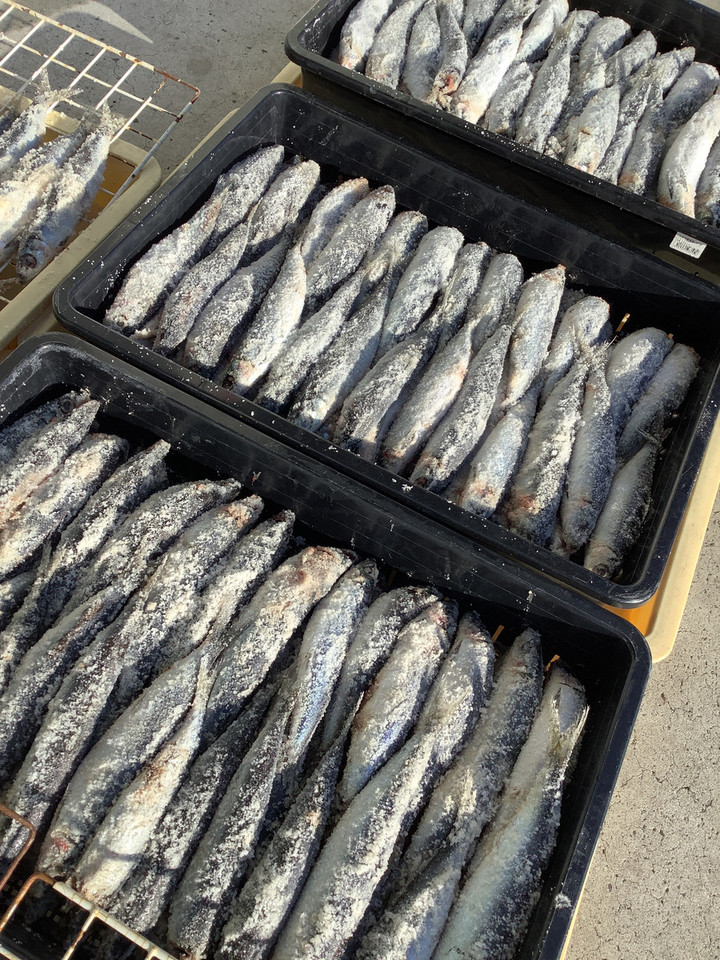 釣れるけん！愛媛ブログ ～ジャンプワールド～ : 【鬼締めイワシ】でき