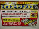 P1010051_large