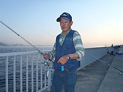 P7050016_small