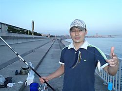 P7050020_small