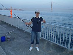 P7050024_small