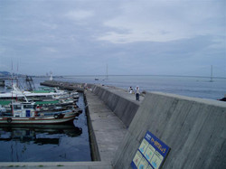 P1010001_medium