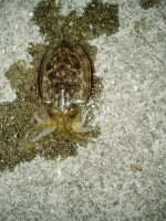 P1010289_medium