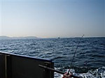 Pb110007_wince