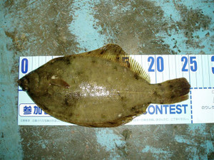 P1010409_medium