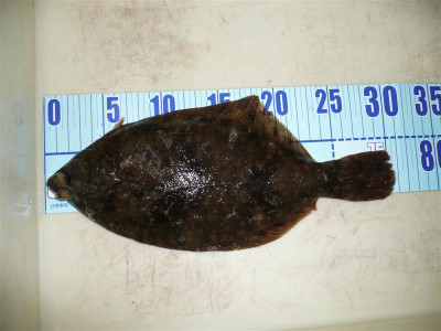 P1020248_medium