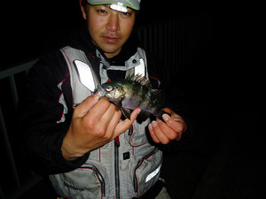 P1010598_medium