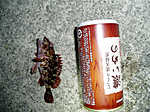 P1010683_medium