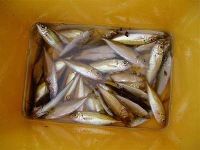 P1011102_small