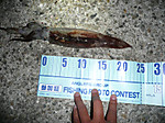P1030018_medium_2