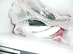 P1030022_medium