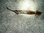 P1011079_medium