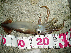 P1011111_medium