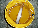 P1011112_medium