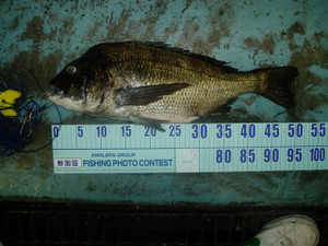 P1011157_small