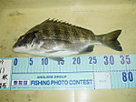 P1010101_small_3