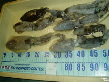 P1010106_medium