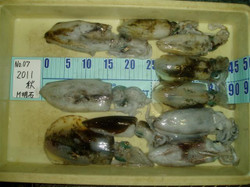 P1010143_small