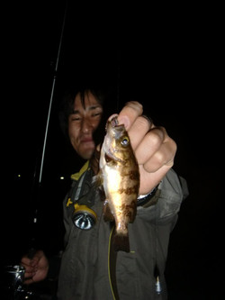 Cimg7606_large