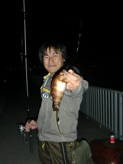 Cimg7613_large