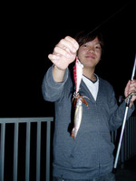 986658_large