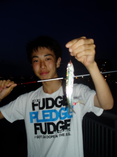 Plarge