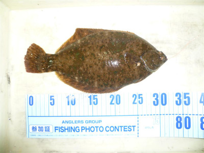 P1130930_large