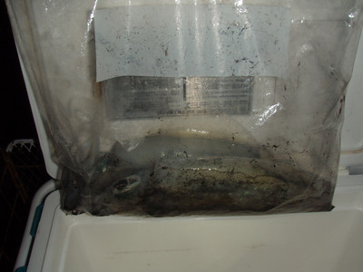 Pb083556