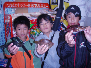 Pb103559_large