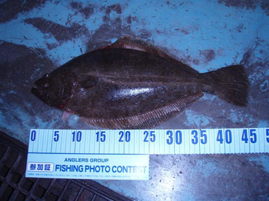 Pb103563_small