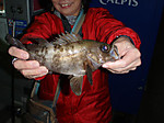P4044218_medium