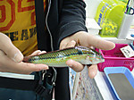 P5044359_medium