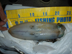 Pa045142_large