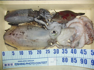 Photo075_large_4