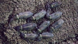 Photo_14
