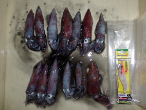 Cimg0069_medium