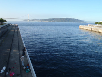 P8050888_medium