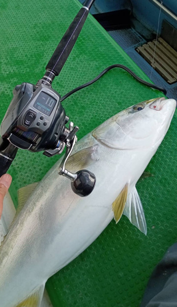 588565378910388533_medium 588565378910388533_medium