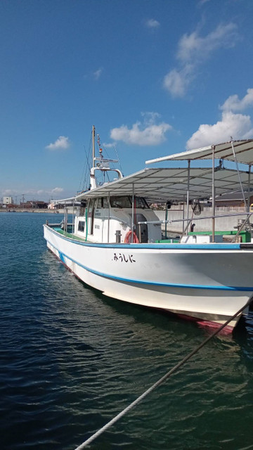 588565380705288261_medium 588565380705288261_medium