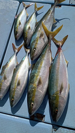 588565380956946620_medium 588565380956946620_medium