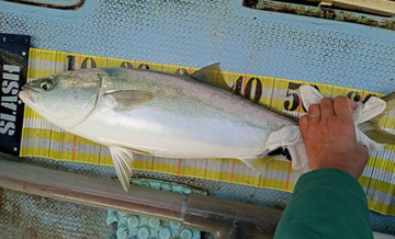 588565390234747137_medium_3 588565390234747137_medium_3