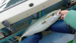 588565392180904634_medium 588565392180904634_medium